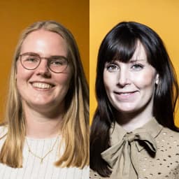 Case: Når EA er meget mere end et ambassadørprogram